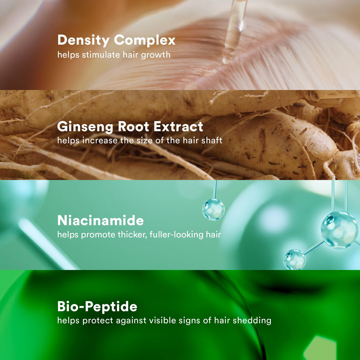 VERB ginseng root extract visual representing natural ingredient, conveys follicle support benefit