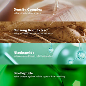 VERB ginseng root extract visual representing natural ingredient, conveys follicle support benefit