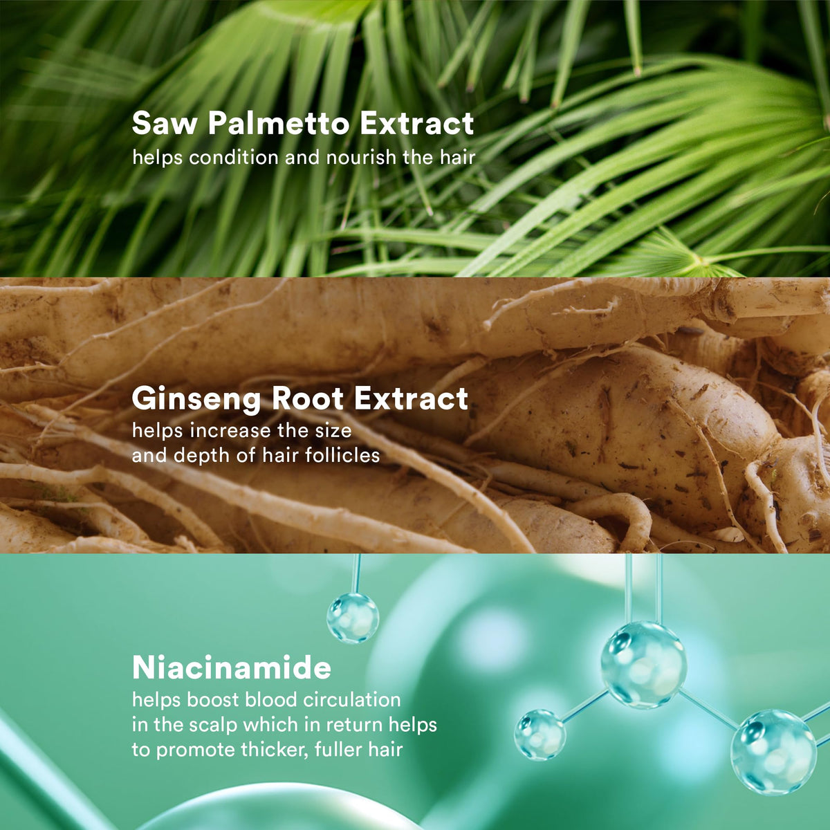 VERB close-up of saw palmetto extract ingredient highlighting nourishment