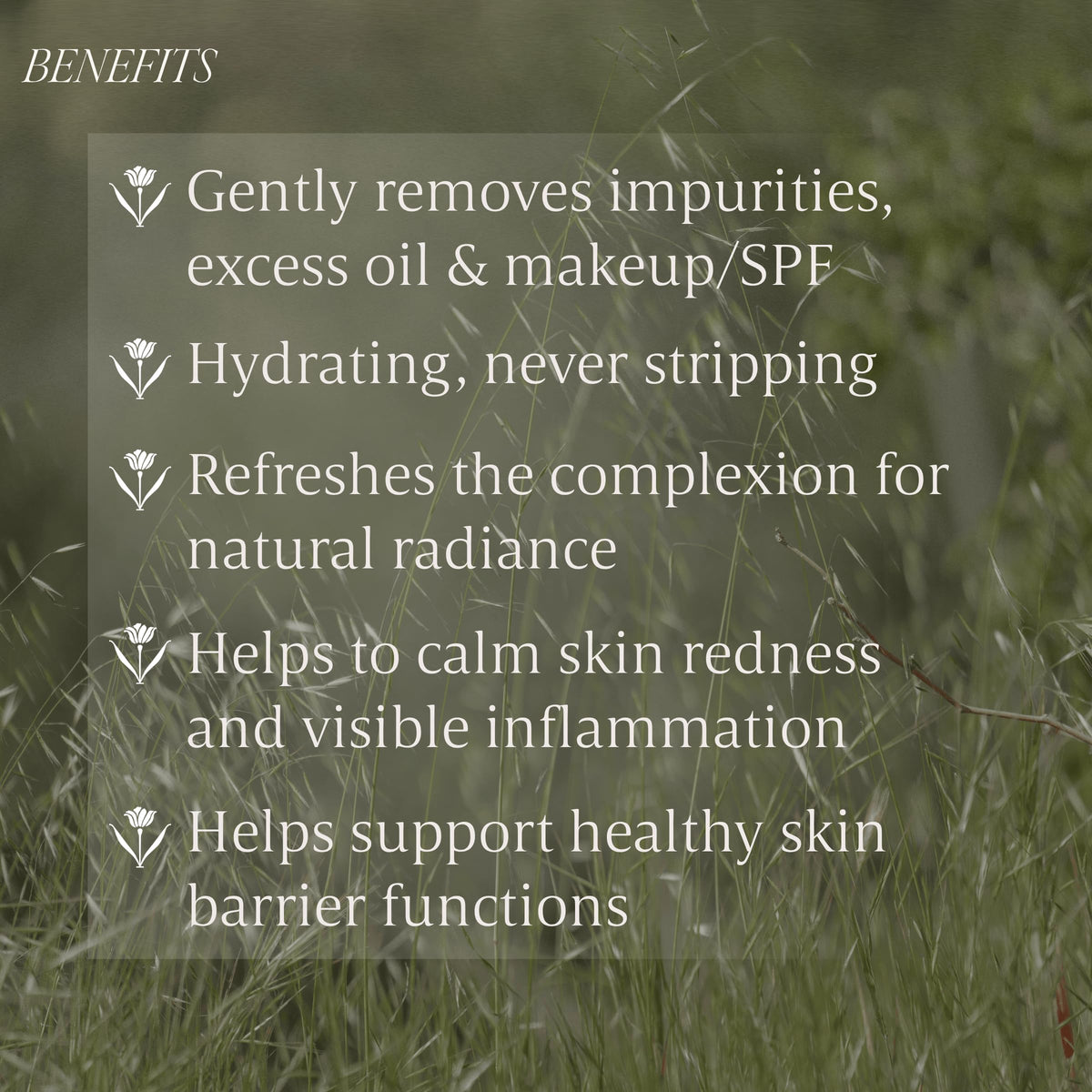 Verli ingredients label detail highlighting botanical components and transparency benefit