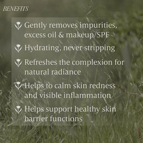Verli ingredients label detail highlighting botanical components and transparency benefit