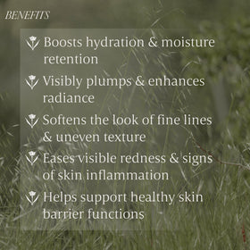 Verli cream on hand demonstrating lightweight, blendable moisture