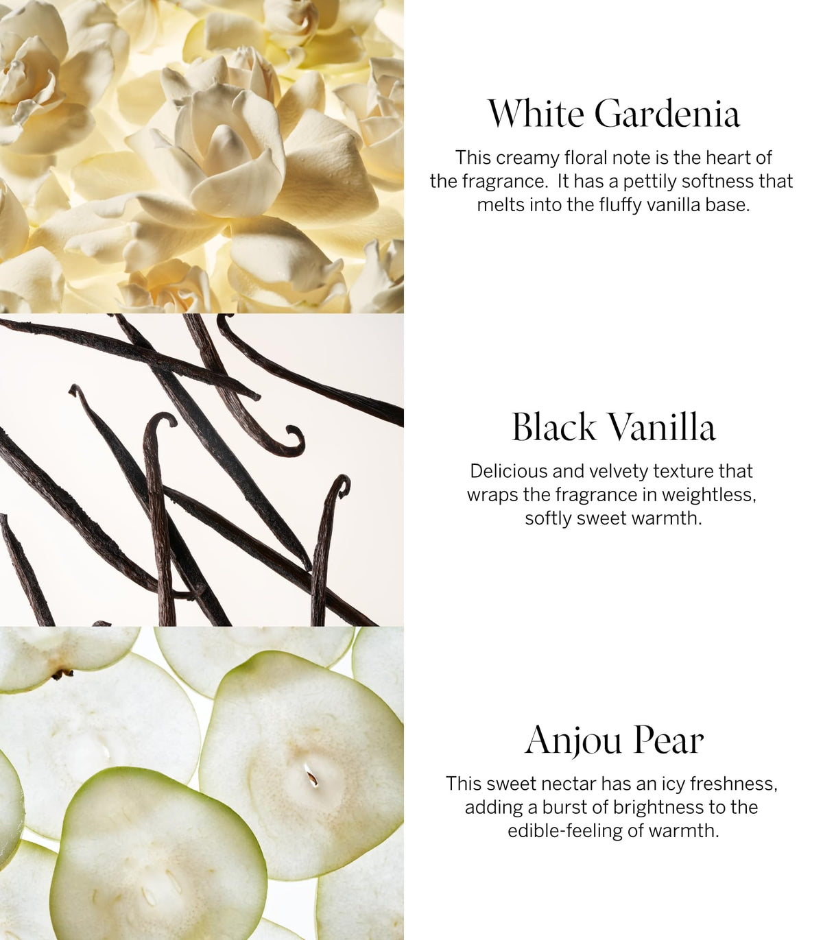 Victoria's Secret lotion texture close-up demonstrating quick-absorbing creamy hydration