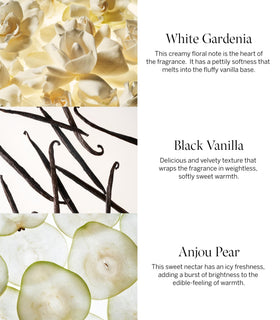 Victoria's Secret lotion texture close-up demonstrating quick-absorbing creamy hydration