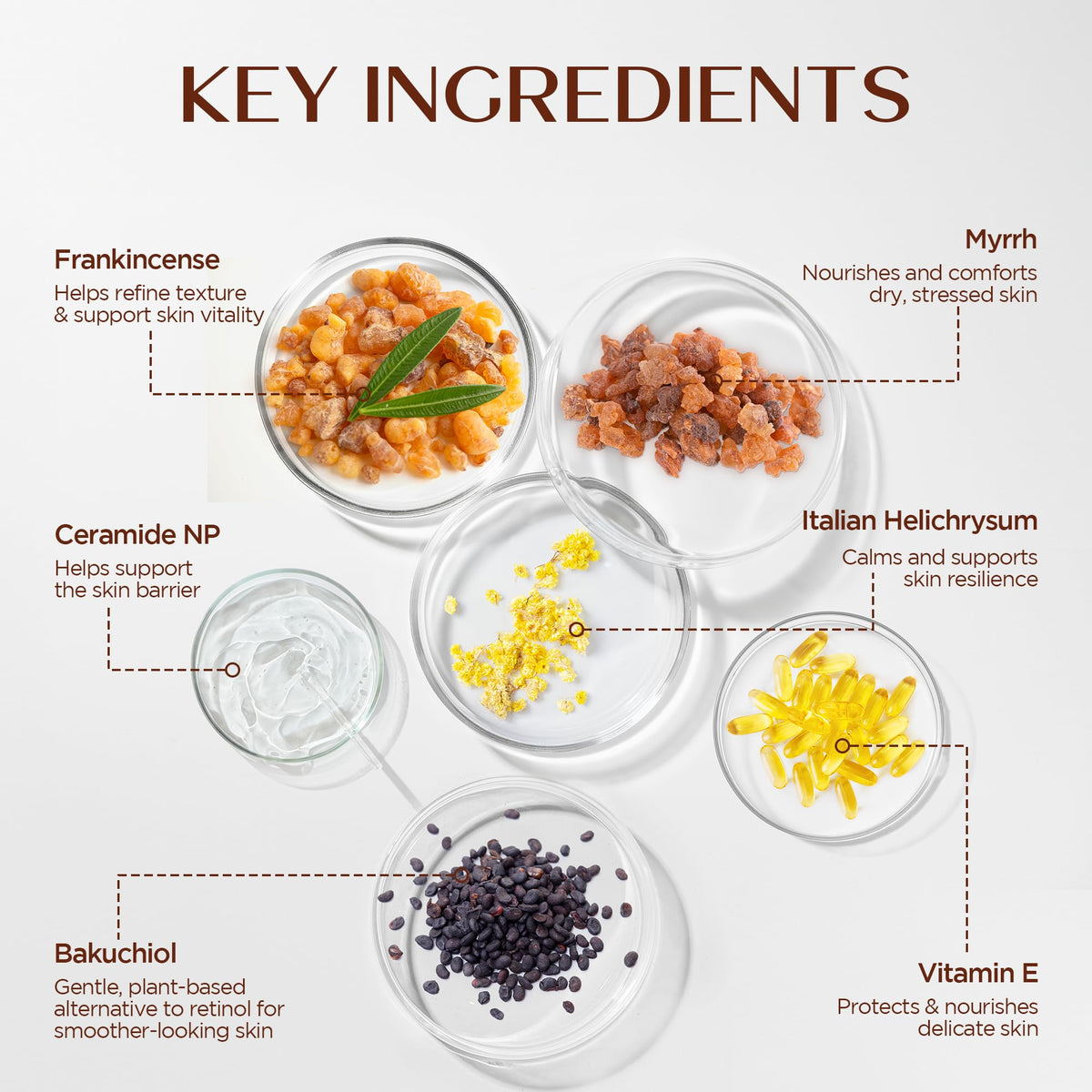 Vigority frankincense balm bakuchiol oil drop detail emphasizing gentle smoothing benefit