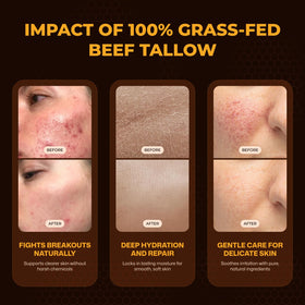VIORY raw ingredients layout with tallow and honey illustrating natural source benefits