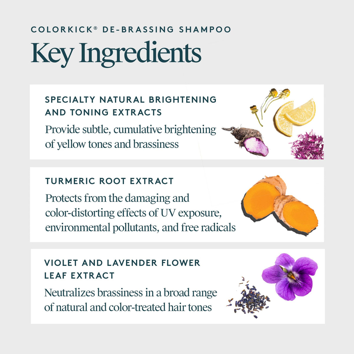 VIRTUE ColorKick lather texture on hand showing gentle foam and non-drying cleanse benefit