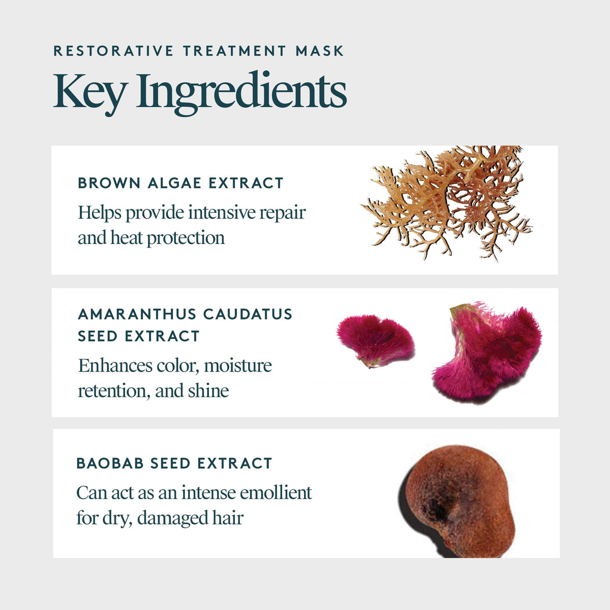 VIRTUE keratin and baobab seed oil visual highlighting nourishing ingredients