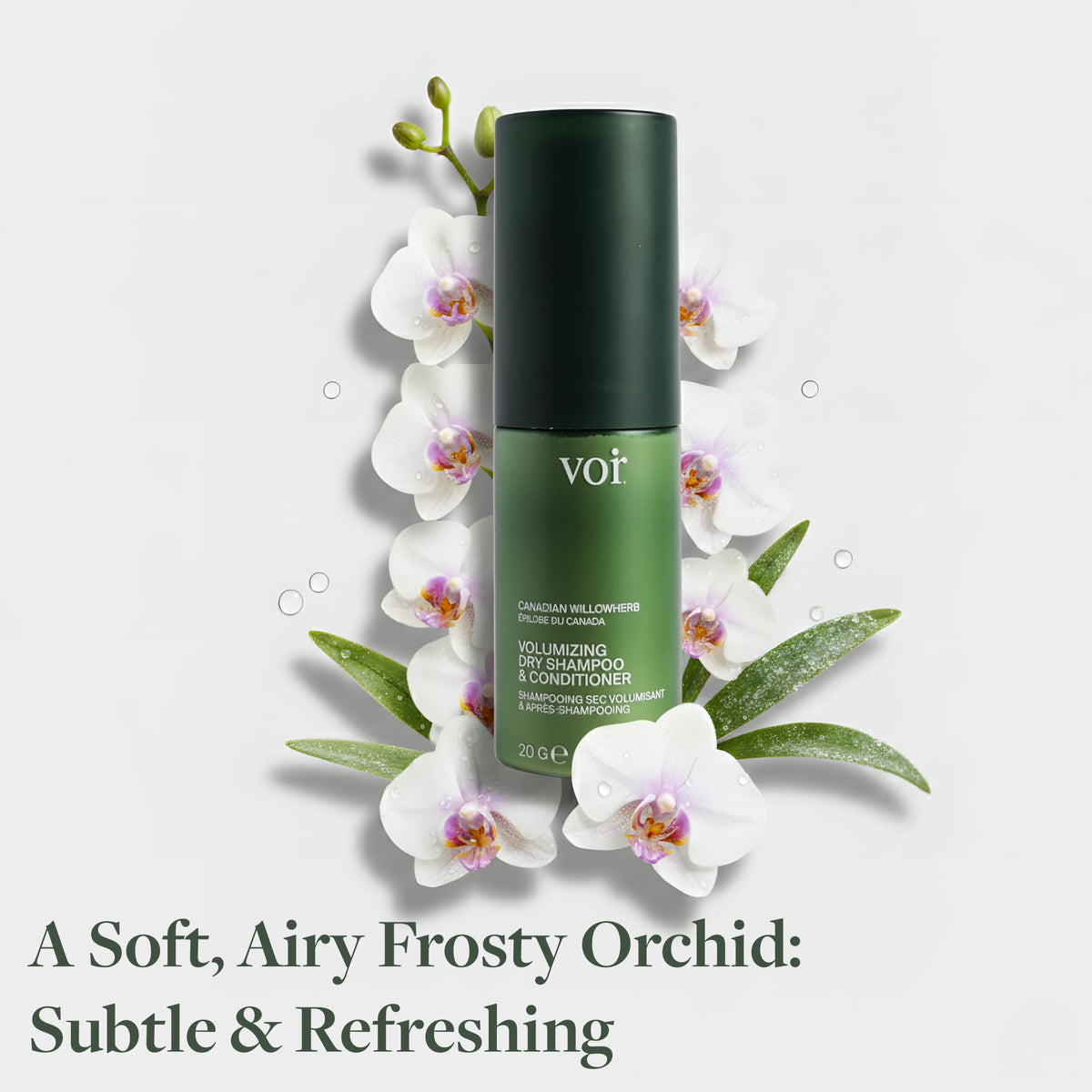 Voir Haircare label closeup detailing willowherb and green tea extracts for scalp support
