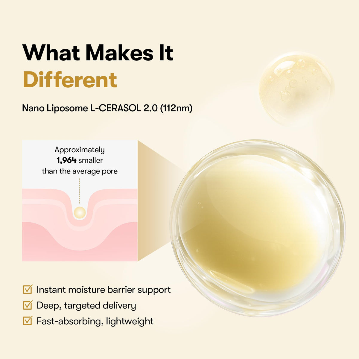 VT COSMETICS rice grains and extracts highlighting natural hydration benefits