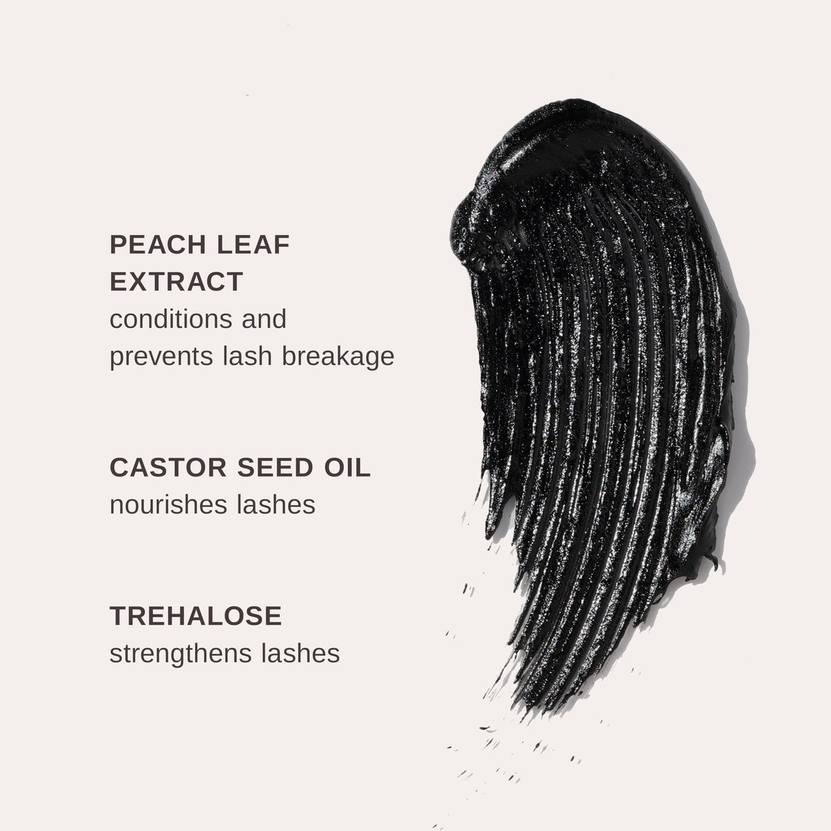 Wander Beauty wand detail displaying tapered brush for lash separation benefit: precise application