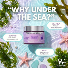 WATCH & SEA BEAUTY jar in hand for scale showing compact travel-friendly size