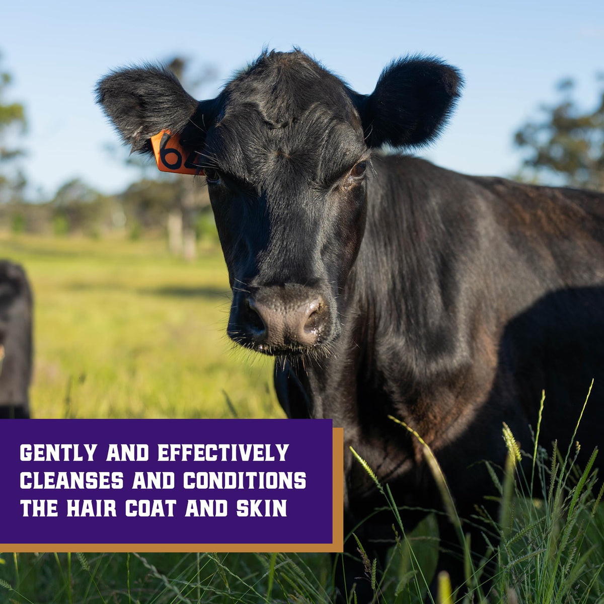 Weaver Livestock creamy lather close-up demonstrating rich suds and coverage