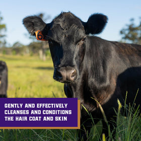 Weaver Livestock creamy lather close-up demonstrating rich suds and coverage
