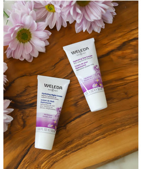 Weleda night cream held in hand to show compact one fluid ounce size
