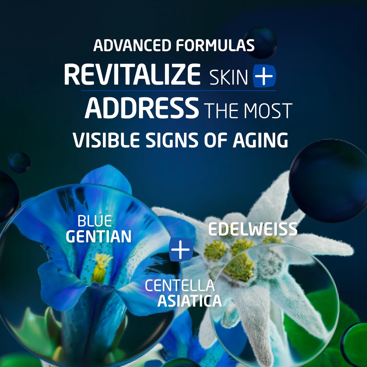 Weleda serum edelweiss ingredient close-up highlighting antioxidant-rich botanical benefit