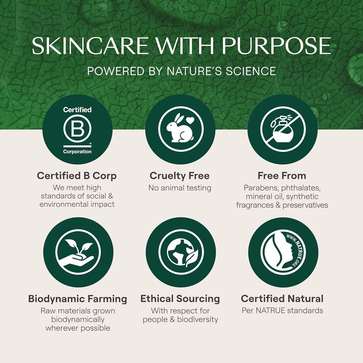 Weleda Skin Food cream being smoothed on hand, brand moisturizes and softens