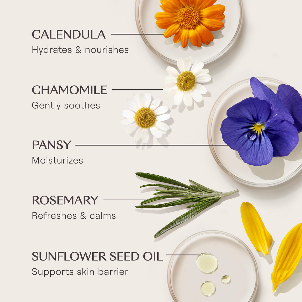 Weleda Skin Food label and ingredient list emphasizing botanical nourishment