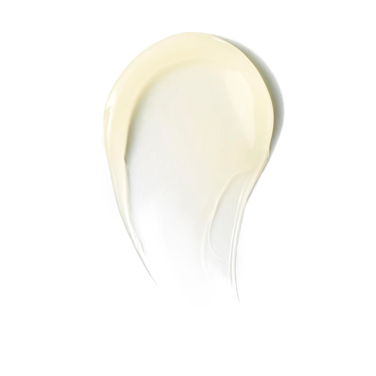 Well People close-up gel texture with snow mushroom for visible hydration