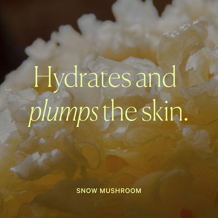 Well People ingredients close-up highlighting Aloe Vera and Snow Mushroom hydration benefit