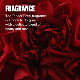 Wella Professionals label and ingredients view highlighting repair-focused formulation benefits