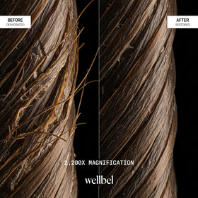 WELLBEL before and after hair showing reduced frizz and improved smoothness