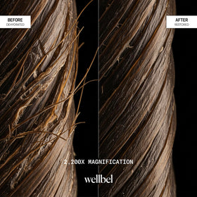 WELLBEL products styled with flowers suggesting refreshing scent