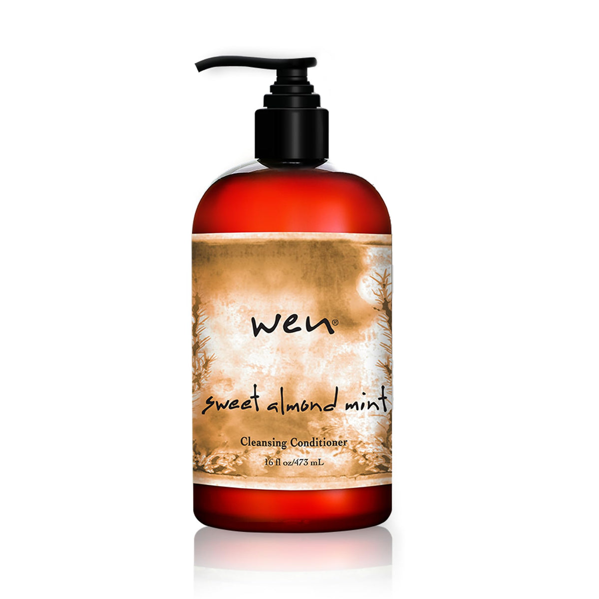 WEN by Chaz Dean front packaging showing bottle and label for easy recognition