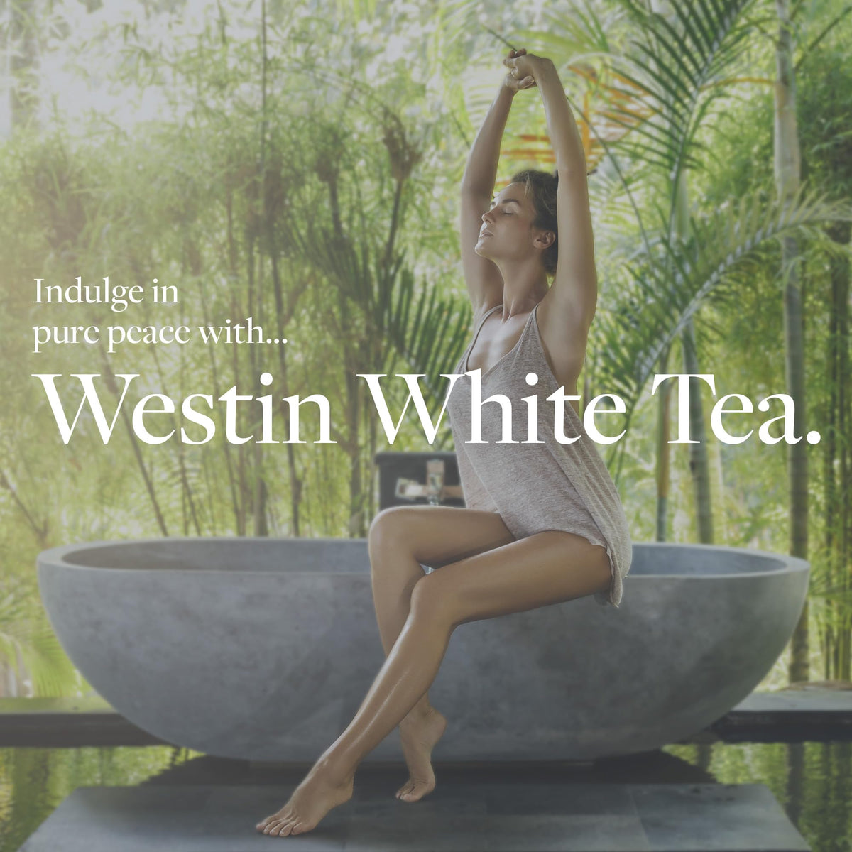 Westin creamy lotion texture swipe showing quick absorption benefit