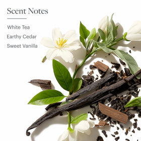 Westin ingredients list close-up highlighting aloe and no-paraben formulation
