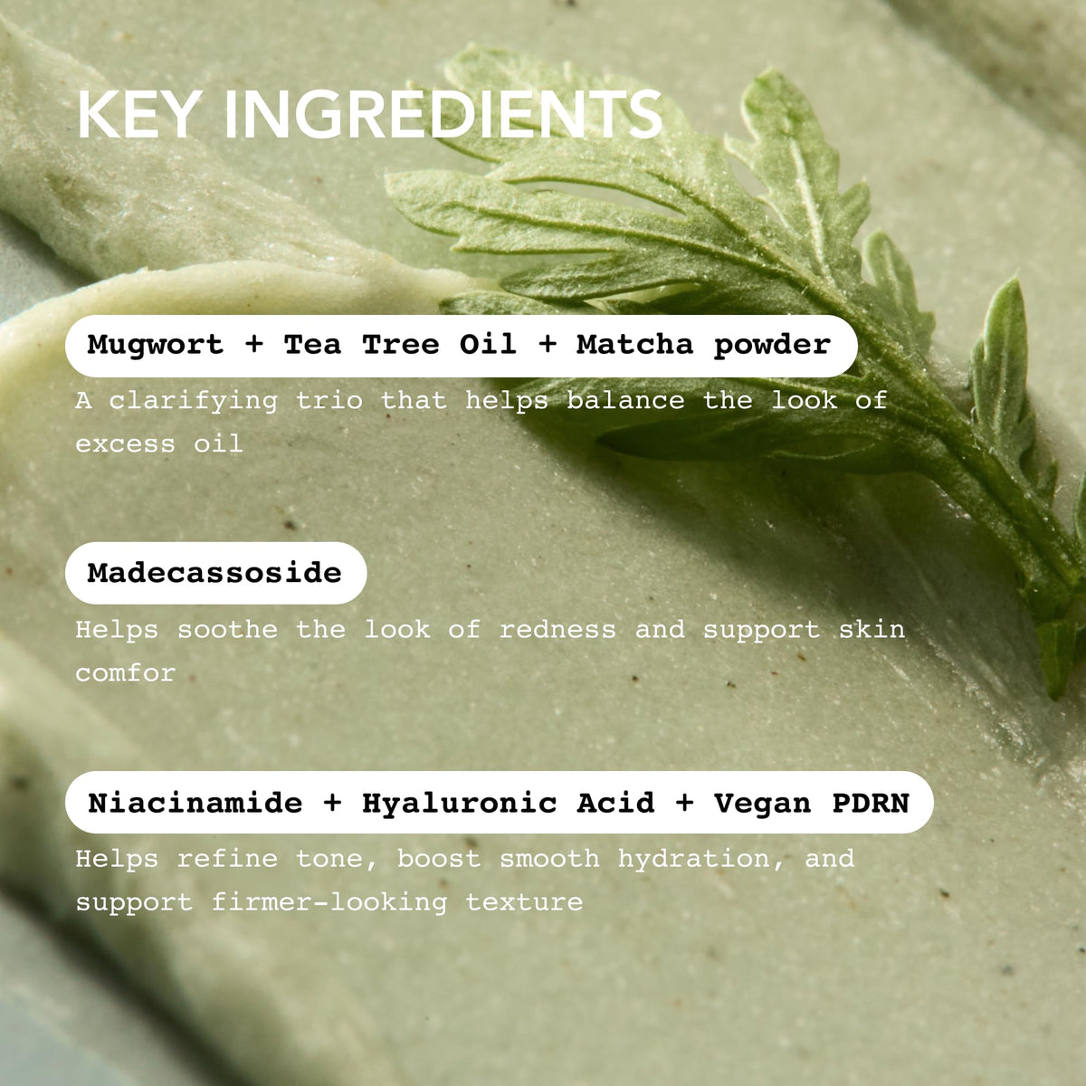 Whipped Semo Company product label close-up highlighting active ingredient list