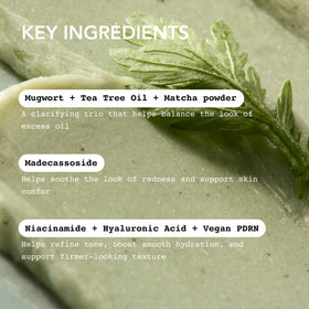 Whipped Semo Company product label close-up highlighting active ingredient list