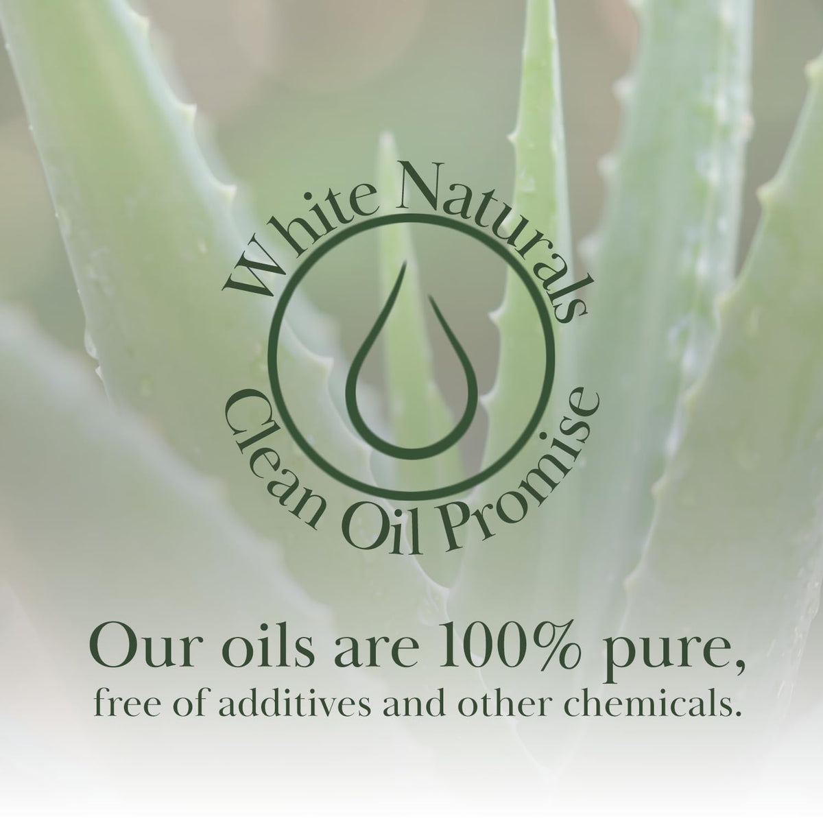 White Naturals bottle in hand to show 4oz scale and travel-friendly benefit