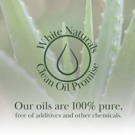 White Naturals bottle in hand to show 4oz scale and travel-friendly benefit