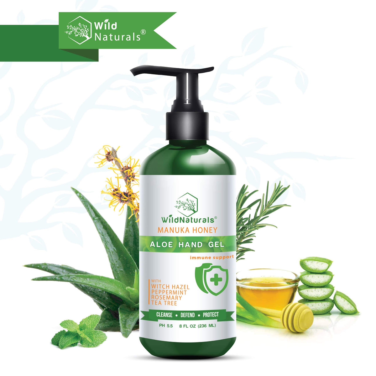 Wild Naturals botanical ingredient flatlay featuring Manuka honey and herbs