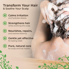 Wild Naturals bottle beside aloe leaves illustrating hydrating ingredient benefit