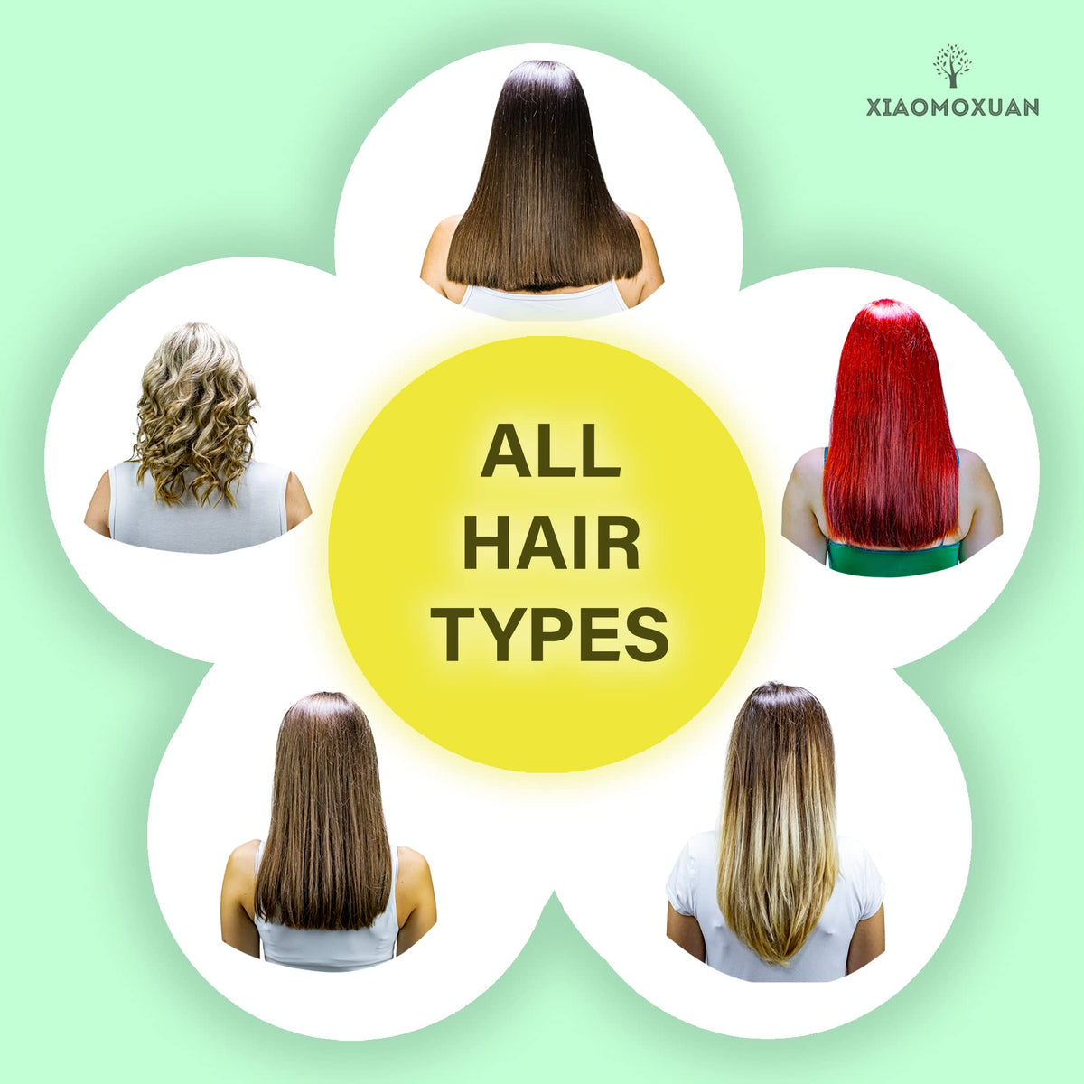 Xiaomoxuan tea tree botanical highlighting natural clarifying properties