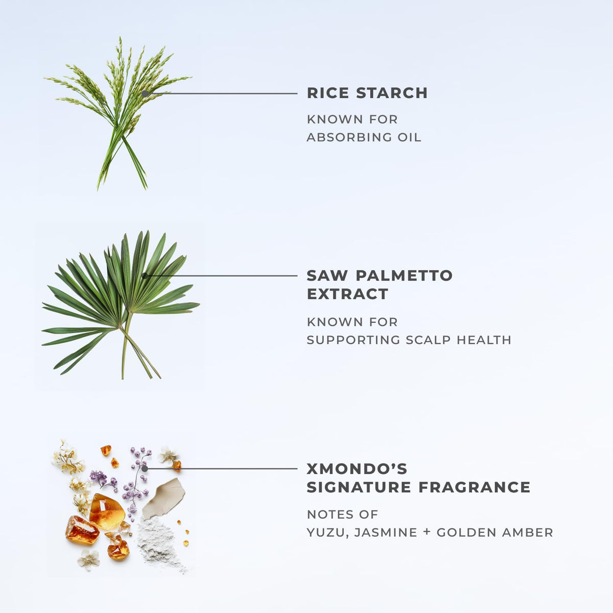XMONDO before and after volume comparison showing fuller-looking hair results