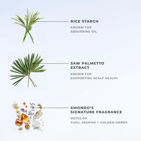 XMONDO before and after volume comparison showing fuller-looking hair results