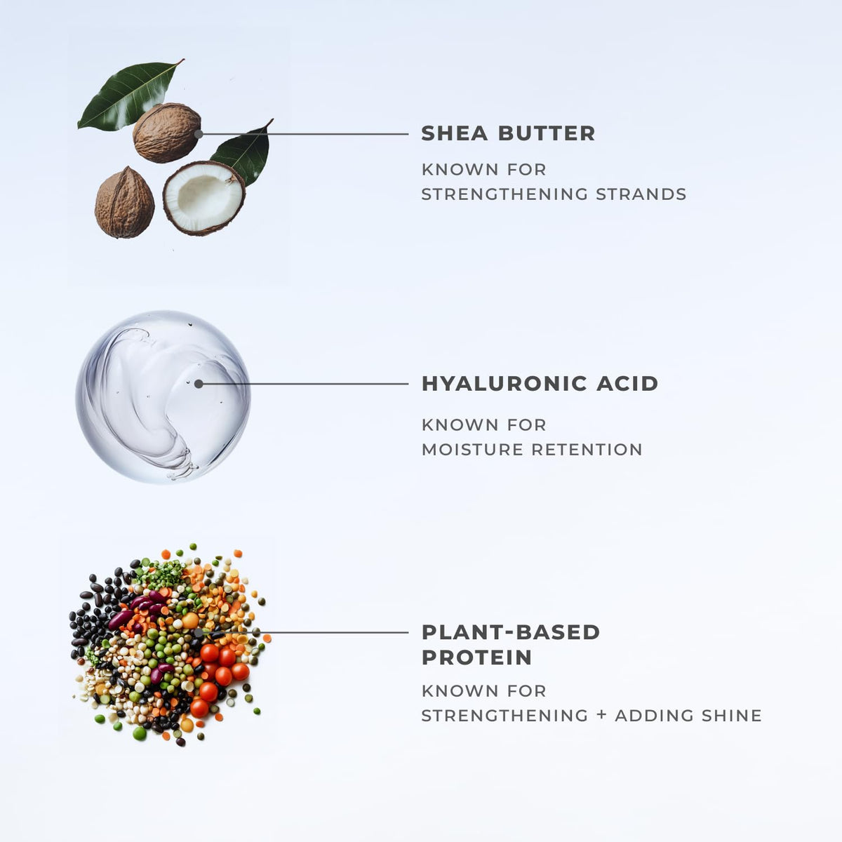 XMONDO hyaluronic acid and shea butter ingredients for hydration