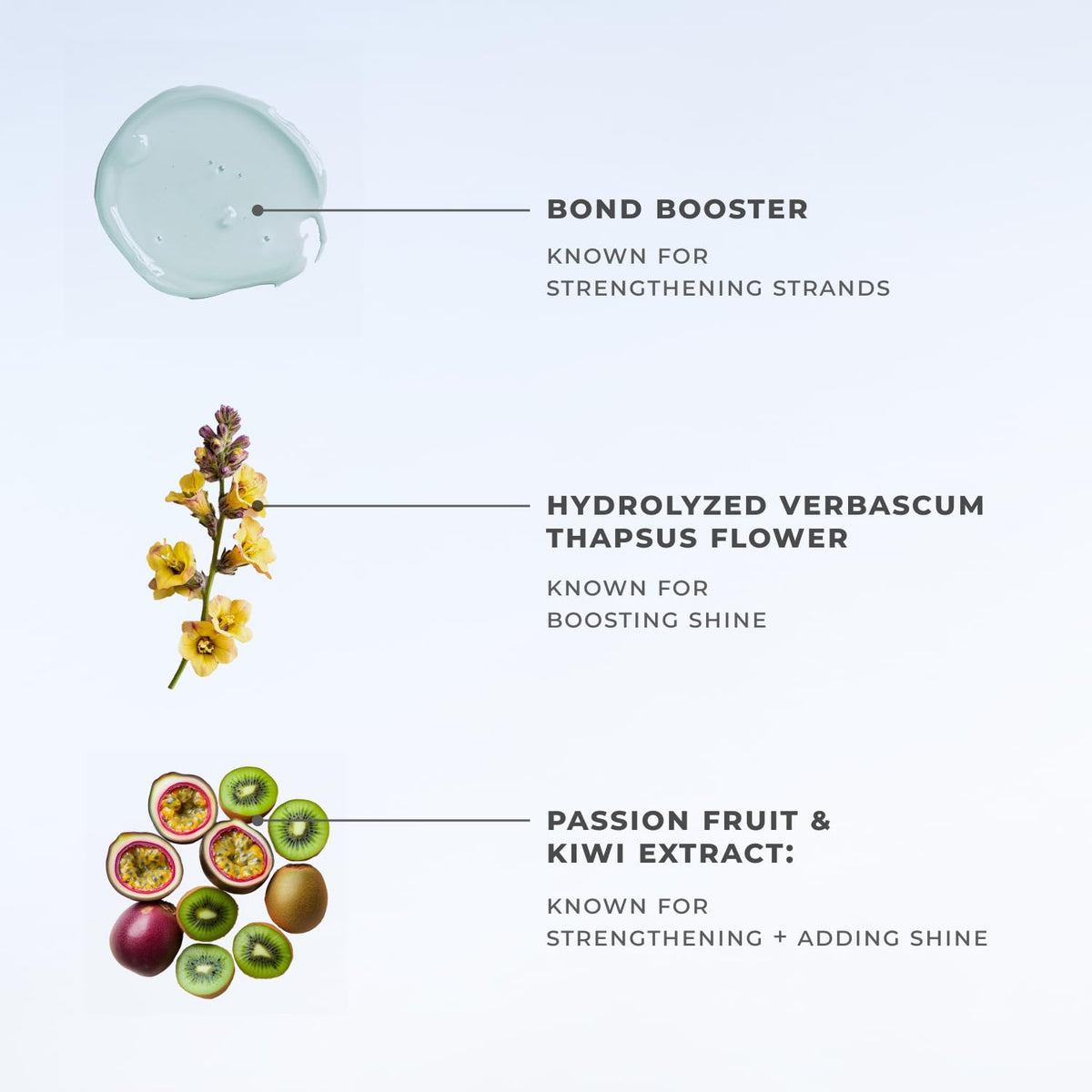 XMONDO label close-up showing ingredient list for transparent product benefits