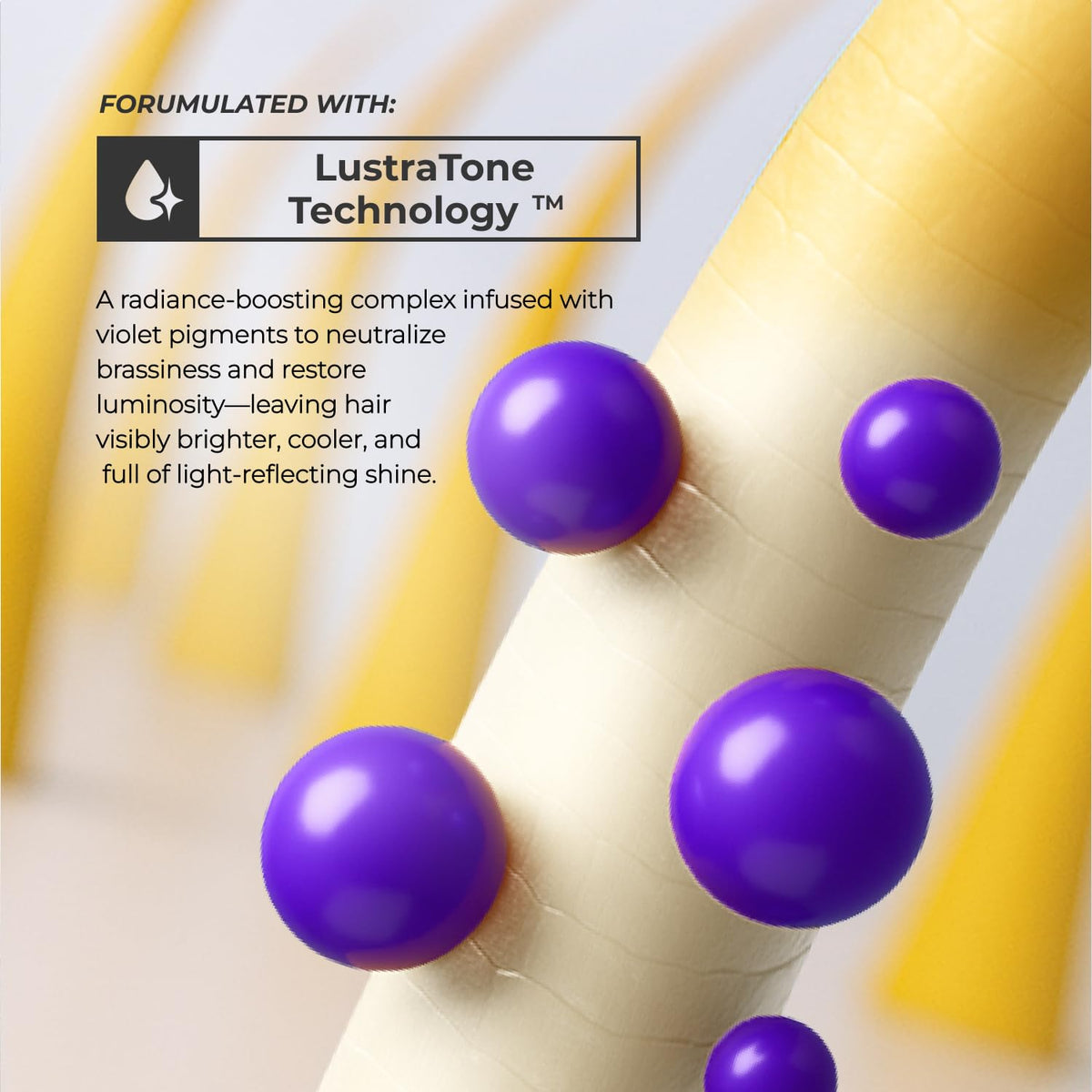 XMONDO ingredients laid out highlighting hyaluronic acid and plant protein