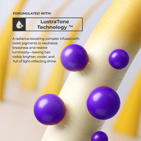XMONDO ingredients laid out highlighting hyaluronic acid and plant protein
