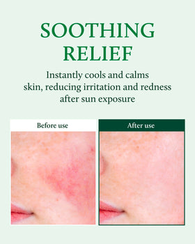 YADAH cactus extract detail highlighting natural hydration and soothing