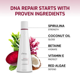 YBERA PARIS shampoo being applied in hands to show easy use and cleansing benefit