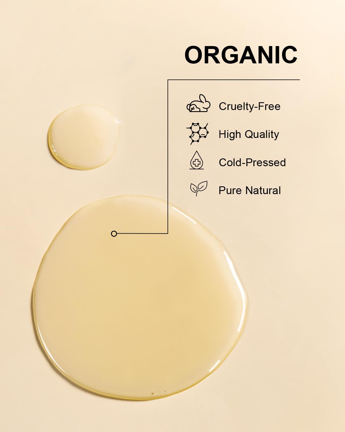 16 oz Yoken bottle next to everyday items showing its generous size