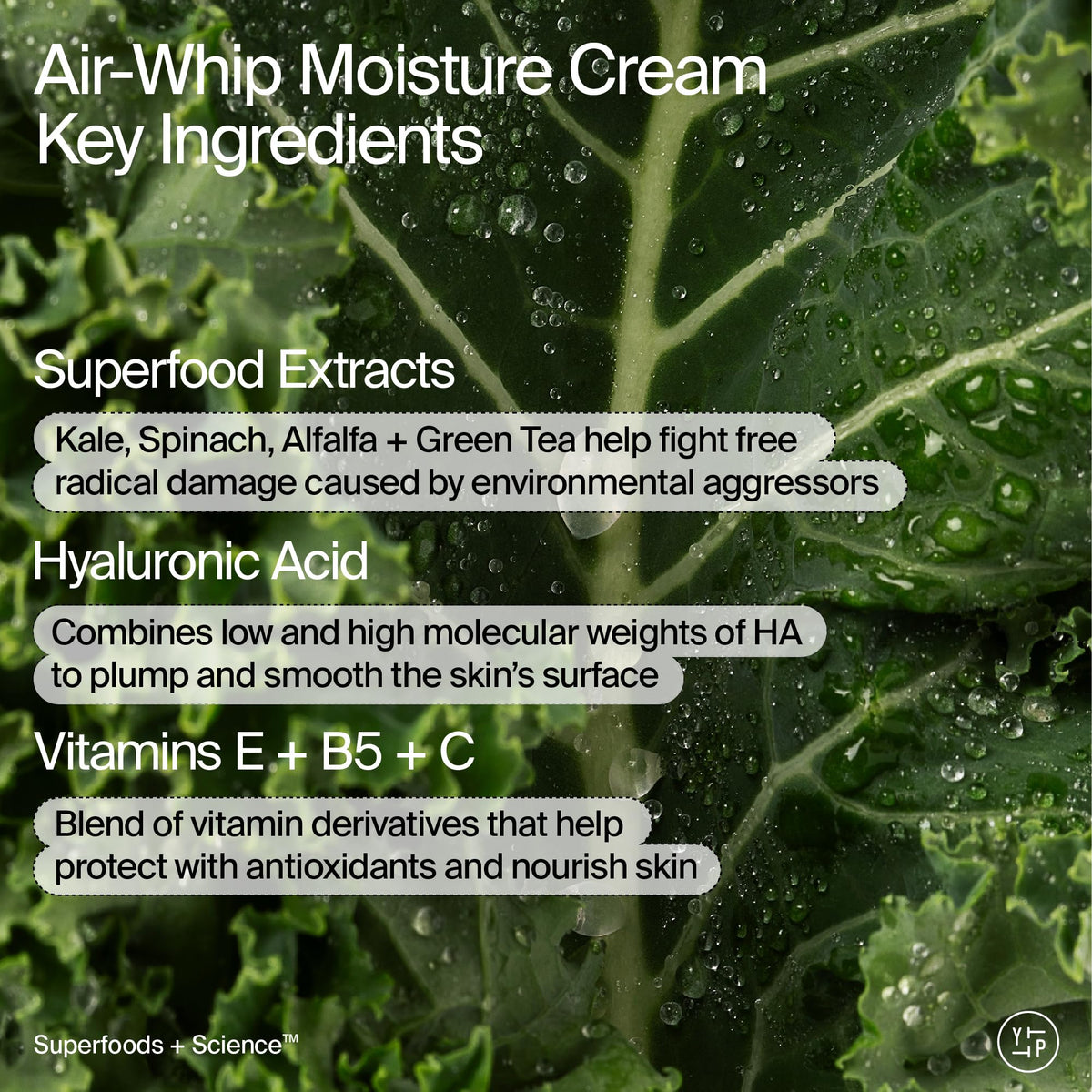 Youth To The People Air Whip cream jar top view showing lightweight, airy moisturizer
