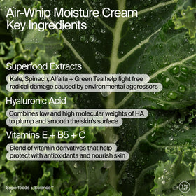 Youth To The People Air Whip cream jar top view showing lightweight, airy moisturizer