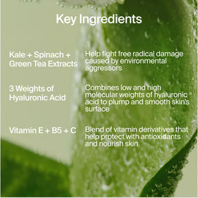 Youth To The People kale leaf beside jar illustrating superfood nourishment