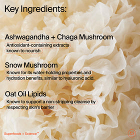 Youth To The People ingredient display with mushrooms and oats showing key actives